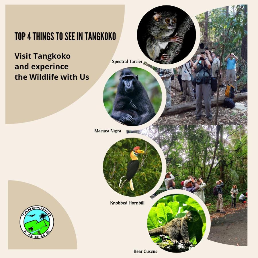 Tangkoko Lodge Bitung Exteriér fotografie